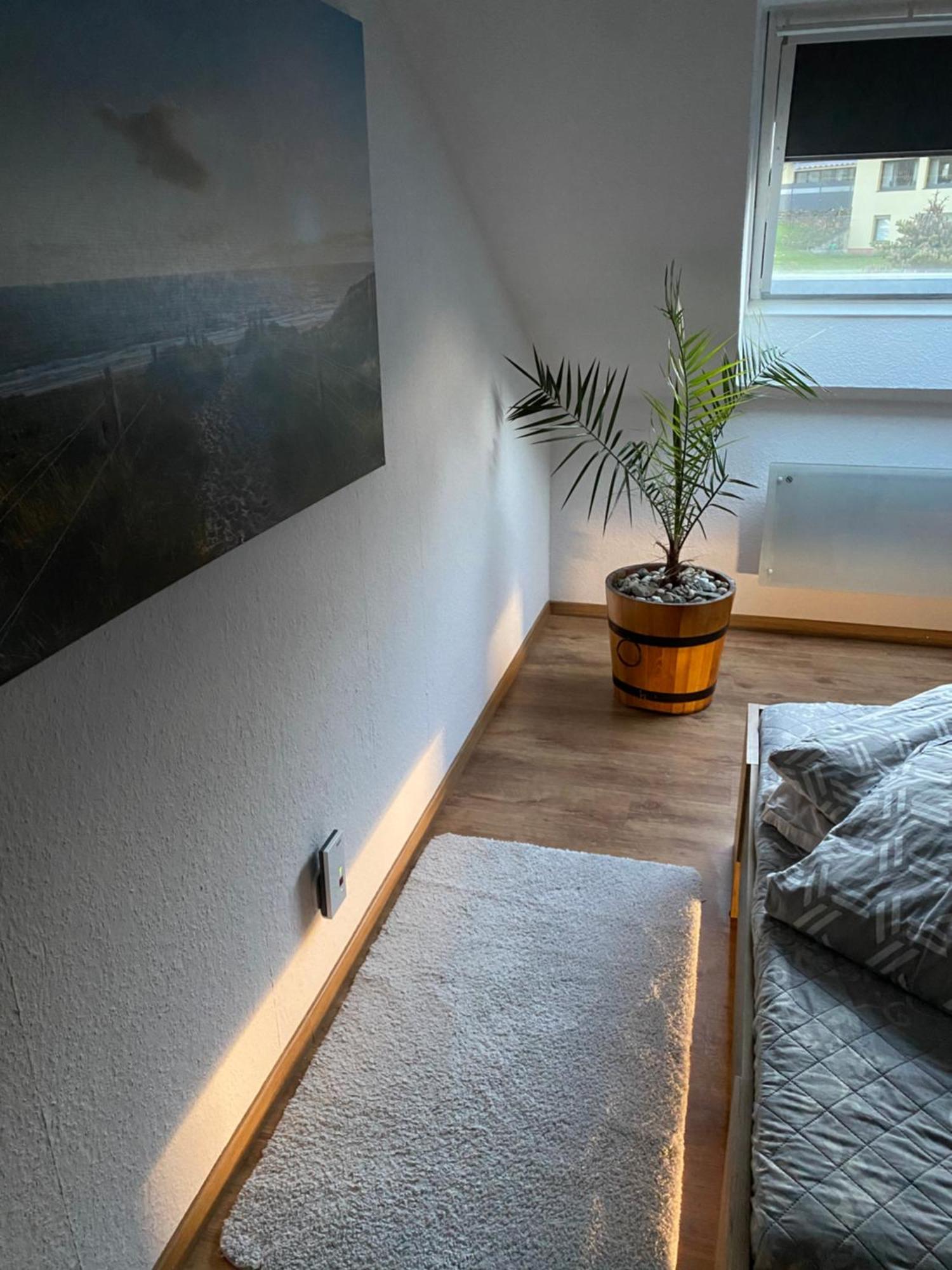 Fewo Skywalk Willingen Stryck Buitenkant foto