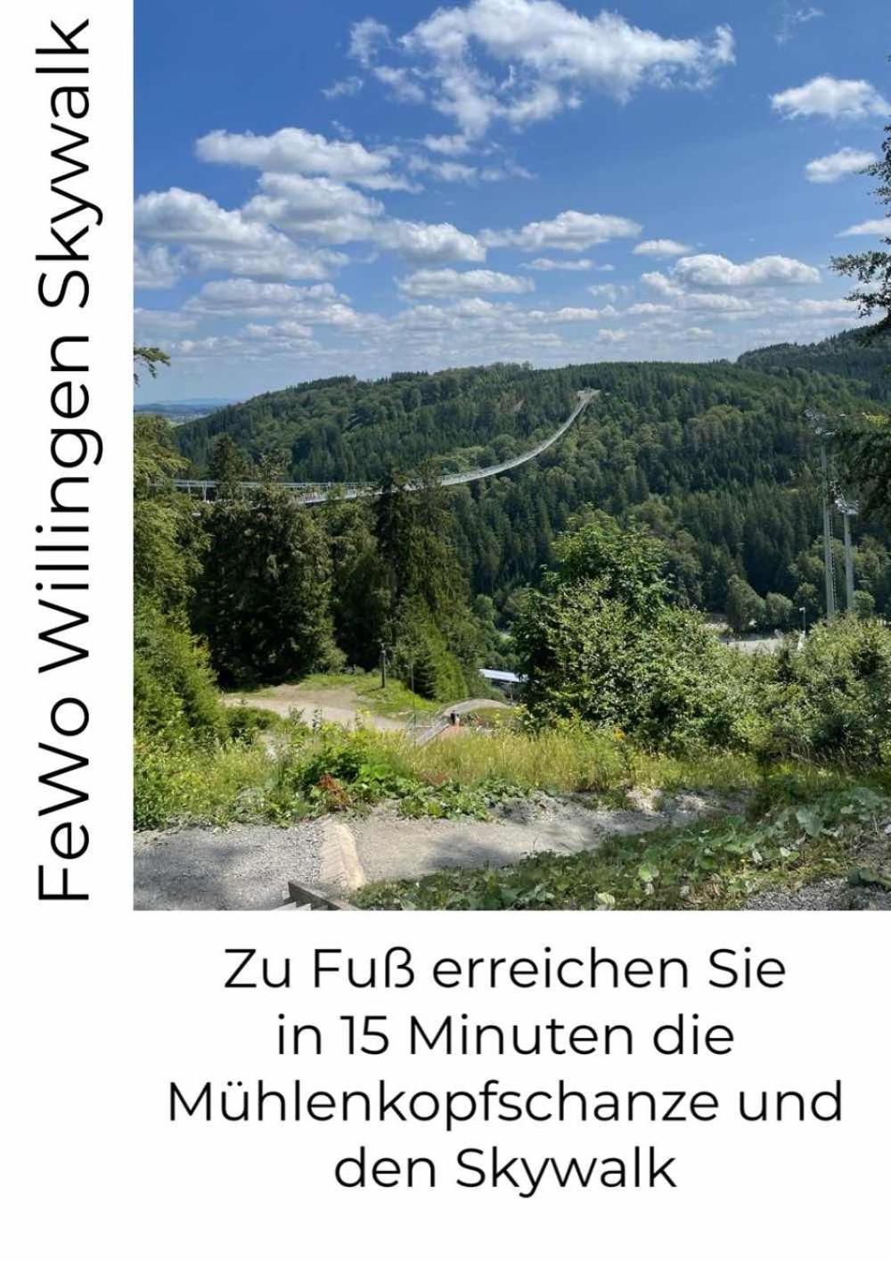 Fewo Skywalk Willingen Stryck Buitenkant foto