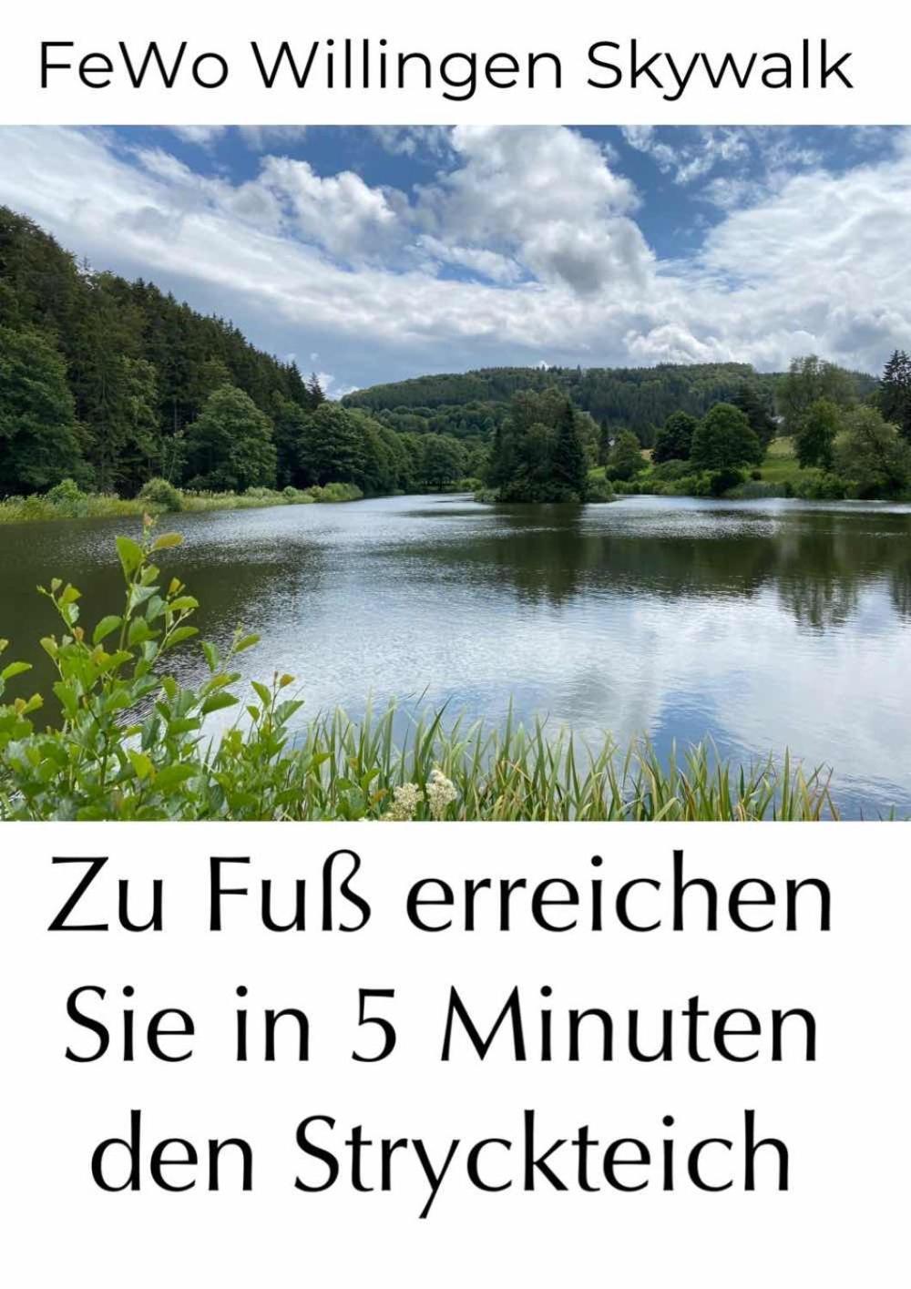 Fewo Skywalk Willingen Stryck Buitenkant foto